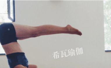 济南希瓦瑜伽J9九游会 九游会J9会所(图2)